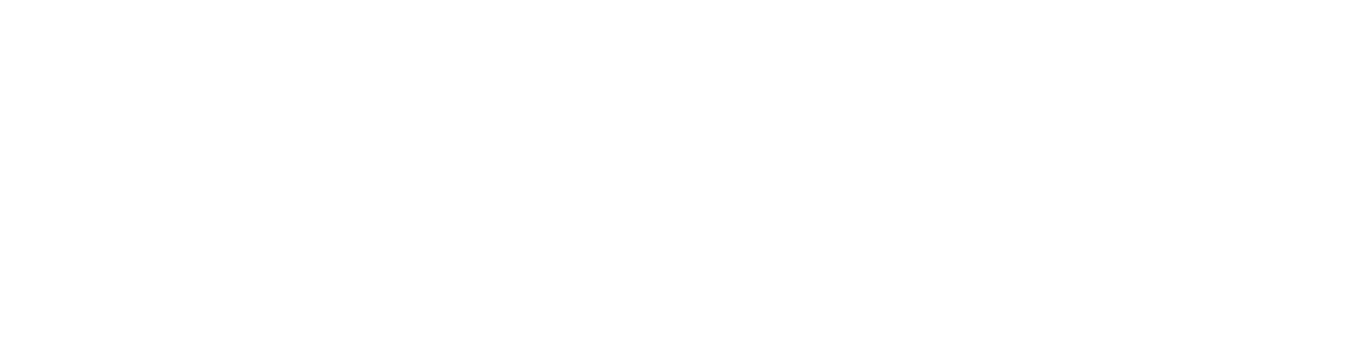 Mr Beez Termite & Pest Control Logo