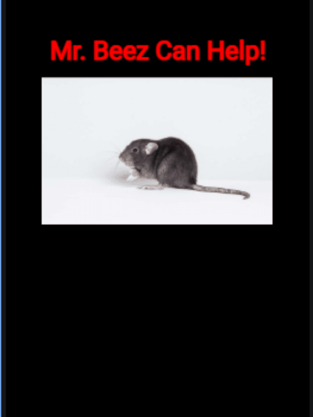 Are You Dealing With Roof Rats? Mr. Beez Pest Control Can Help!